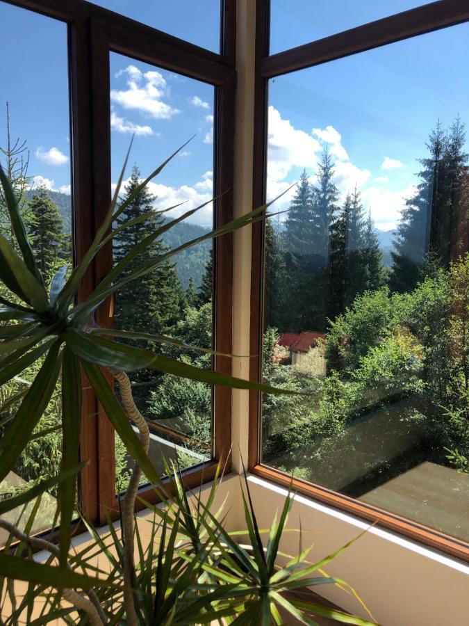 Genco Hotel Mountain View Predeal Luaran gambar