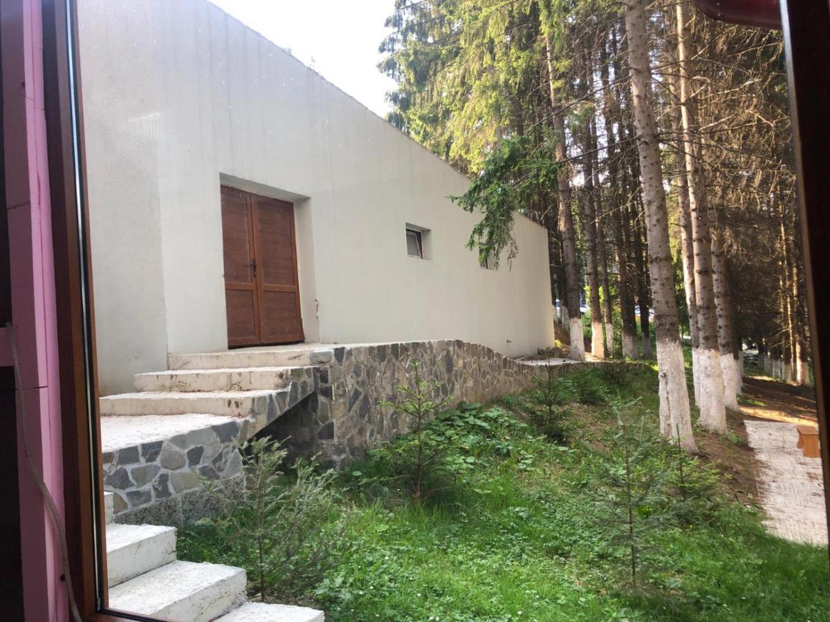 Genco Hotel Mountain View Predeal Luaran gambar