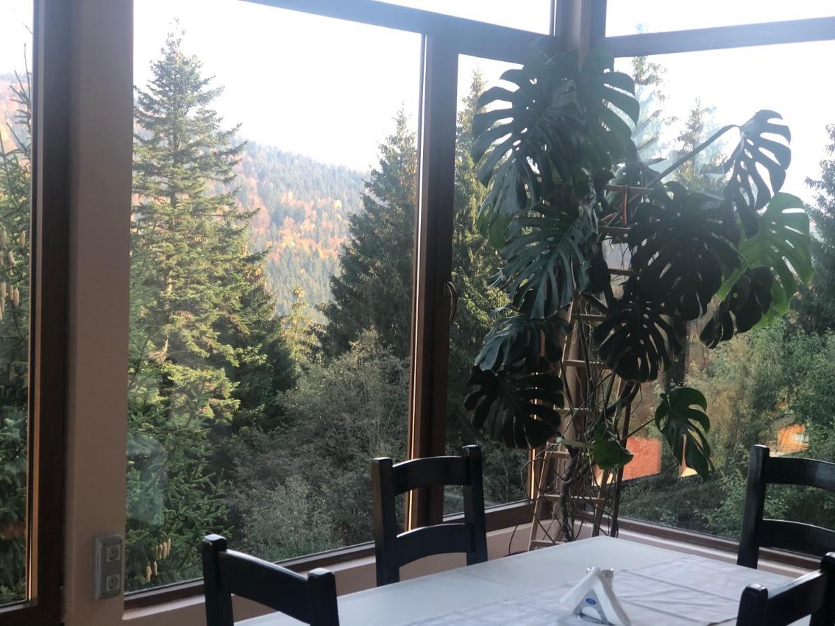 Genco Hotel Mountain View Predeal Luaran gambar