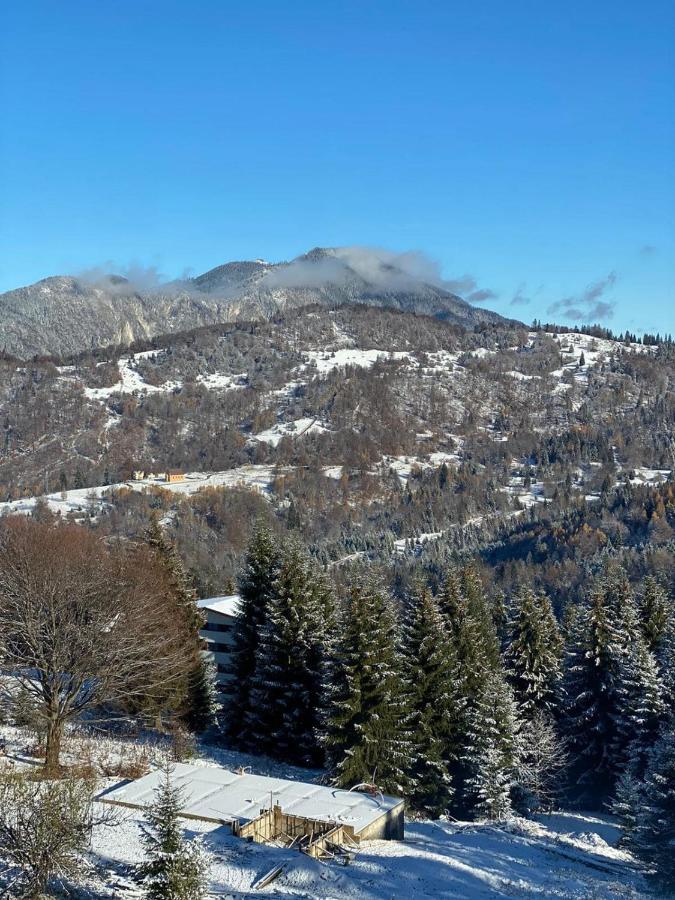 Genco Hotel Mountain View Predeal Luaran gambar